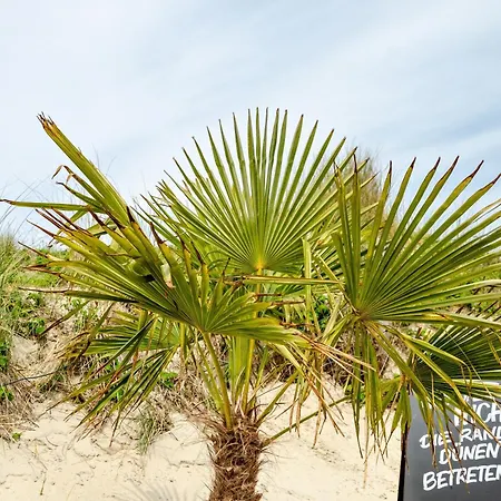 Strandhus Uiterst-hoern Backbord Appartement Baltrum